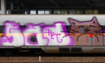 Bombing 1510667865435